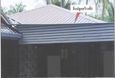 ขายทอดตลาด ที่ดินพร้อมสิ่งปลูกสร้าง ต.ป่าซาง อ.แม่จัน จ.เชียงราย