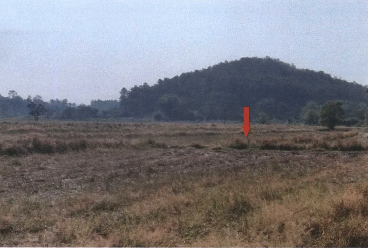 ขายทอดตลาด ที่ดินว่างเปล่า ต.ดอยลาน อ.เมืองเชียงราย จ.เชียงราย