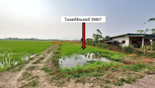 รูปทรัพย์ 2