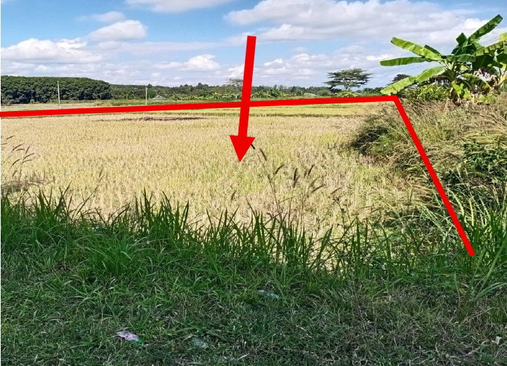 ขายทอดตลาด ที่ดินว่างเปล่า จ.เชียงราย