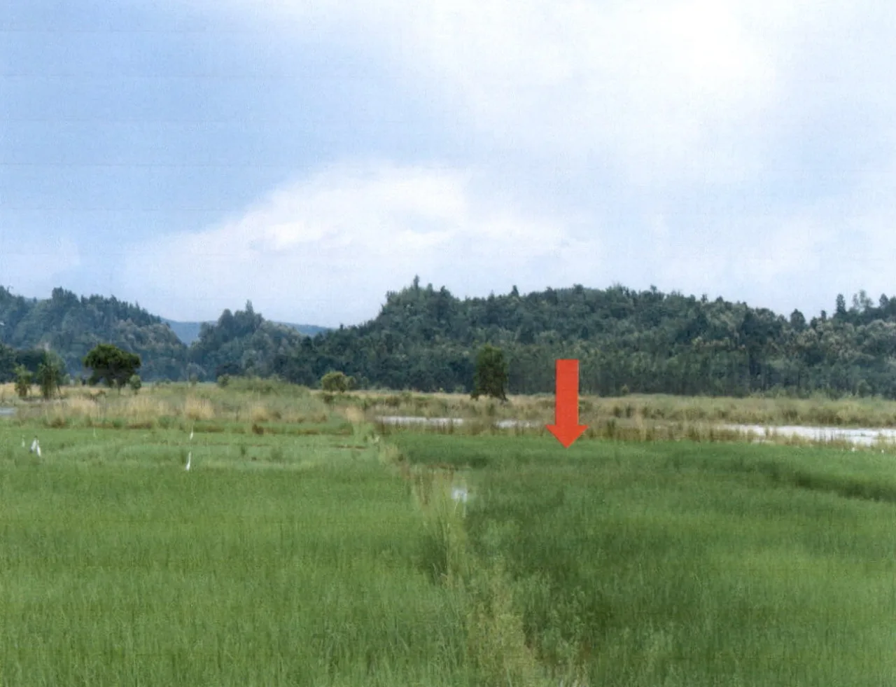 ขายทอดตลาด ที่ดินว่างเปล่า ต.ดอยลาน อ.เมืองเชียงราย จ.เชียงราย