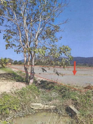 รูปทรัพย์ 2
