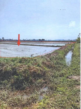 รูปทรัพย์ 3
