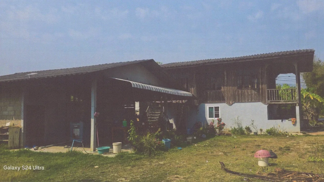 ขายทอดตลาด ที่ดินพร้อมสิ่งปลูกสร้าง ต.แม่เย็น อ.พาน จ.เชียงราย