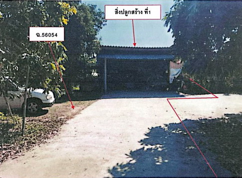 ขายทอดตลาด ที่ดินพร้อมสิ่งปลูกสร้าง ต.ดอยงาม อ.พาน จ.เชียงราย