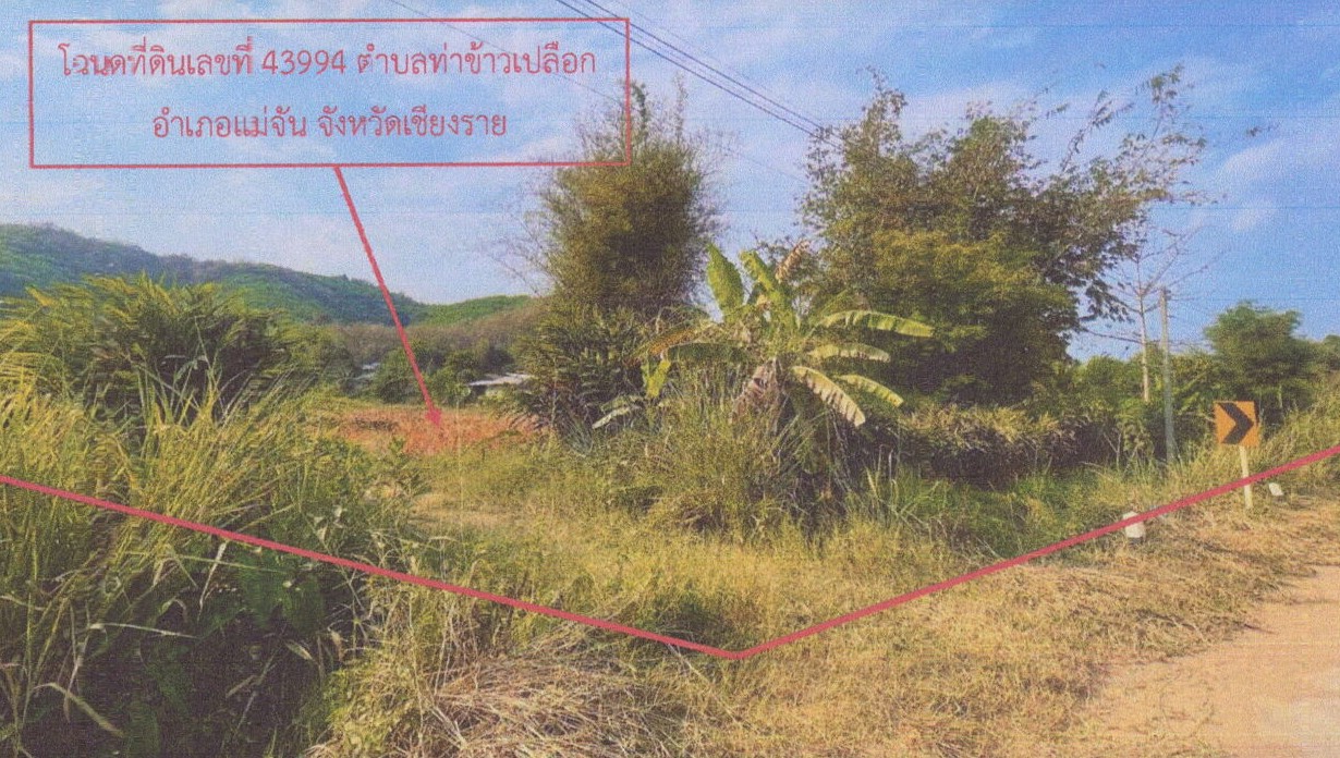 ขายทอดตลาด ที่ดินว่างเปล่า จ.เชียงราย