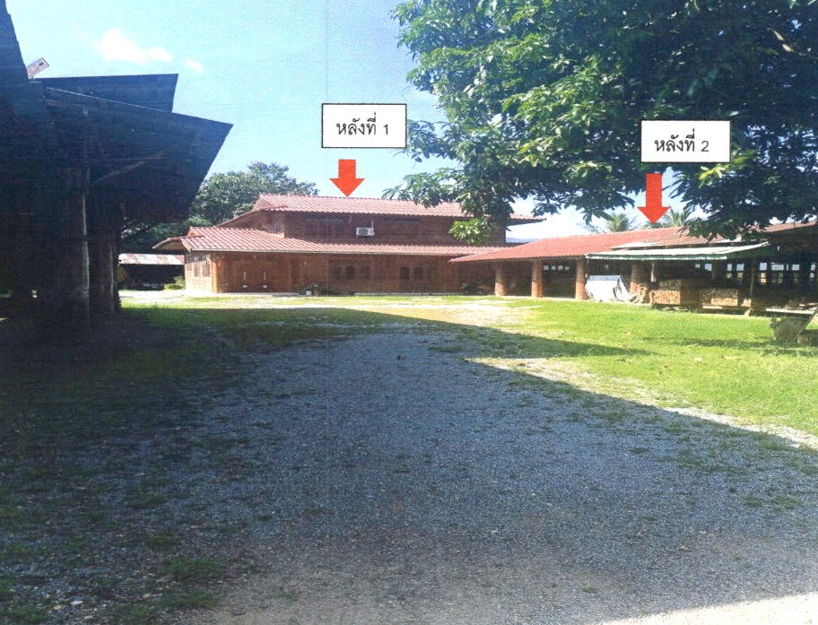 ขายทอดตลาด ที่ดินพร้อมสิ่งปลูกสร้าง ต.บ้านปง อ.สูงเม่น จ.แพร่