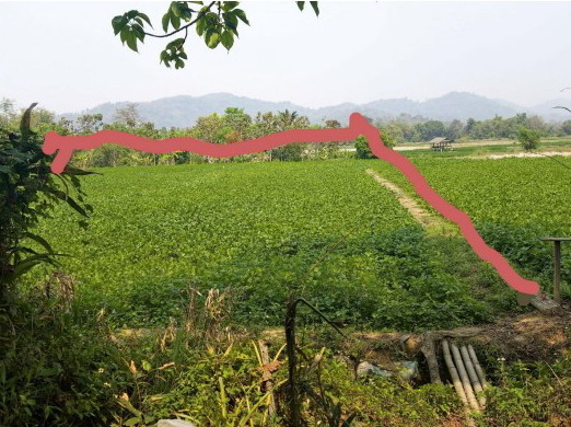 ขายทอดตลาด ที่ดินว่างเปล่า ต.แม่เงิน อ.เชียงแสน จ.เชียงราย