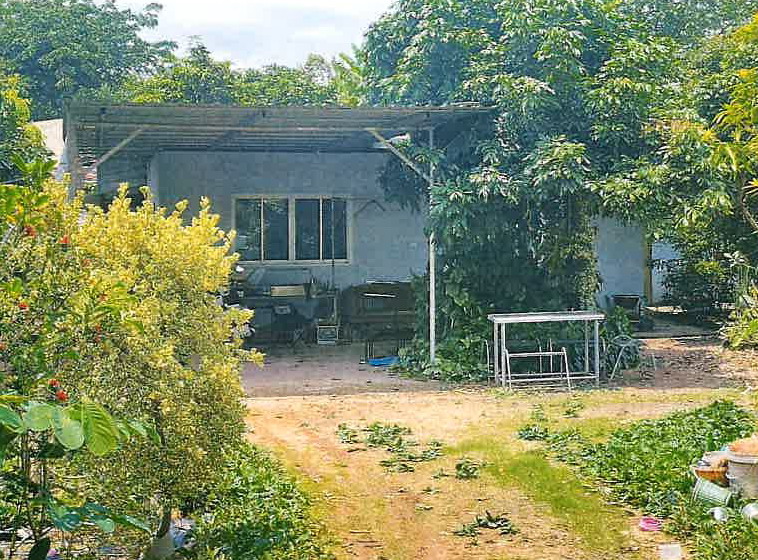 ขายทอดตลาด ที่ดินพร้อมสิ่งปลูกสร้าง ต.แม่เจดีย์ อ.เวียงป่าเป้า จ.เชียงราย
