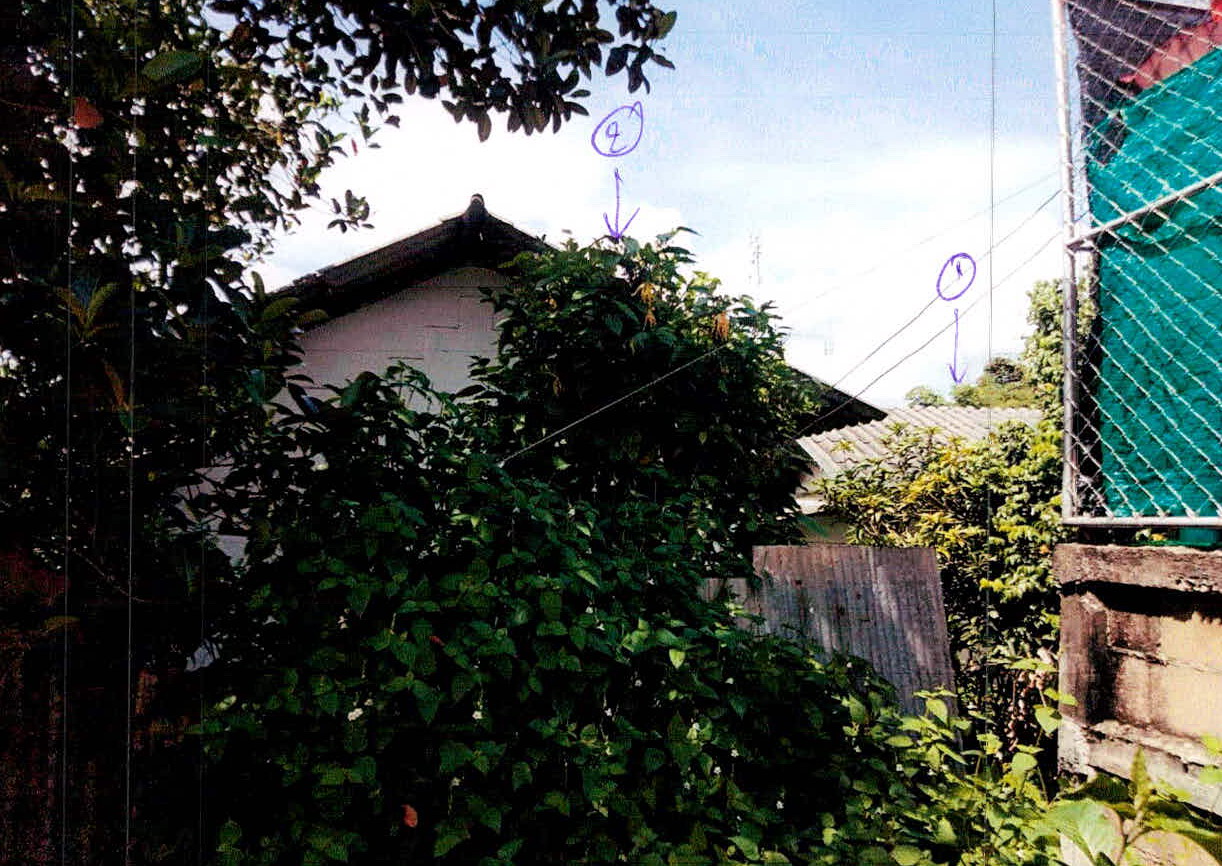 ขายทอดตลาด ที่ดินพร้อมสิ่งปลูกสร้าง ต.แม่เจดีย์ อ.เวียงป่าเป้า จ.เชียงราย