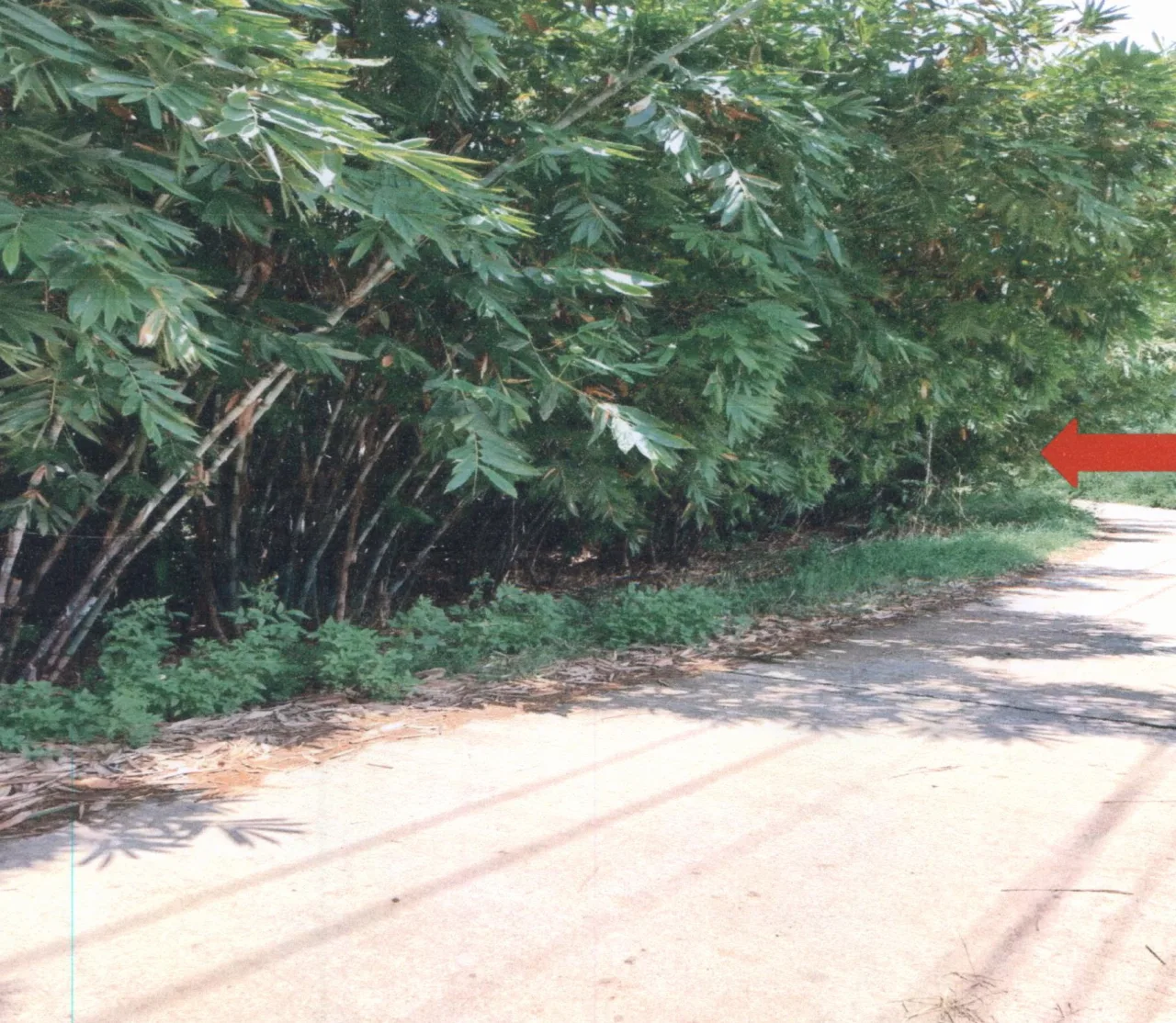 ขายทอดตลาด ที่ดินว่างเปล่า จ.แพร่