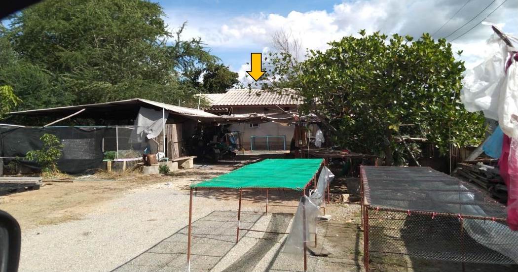 ขายทอดตลาด ที่ดินพร้อมสิ่งปลูกสร้าง ต.ทุ่งสมอ อ.พนมทวน จ.กาญจนบุรี