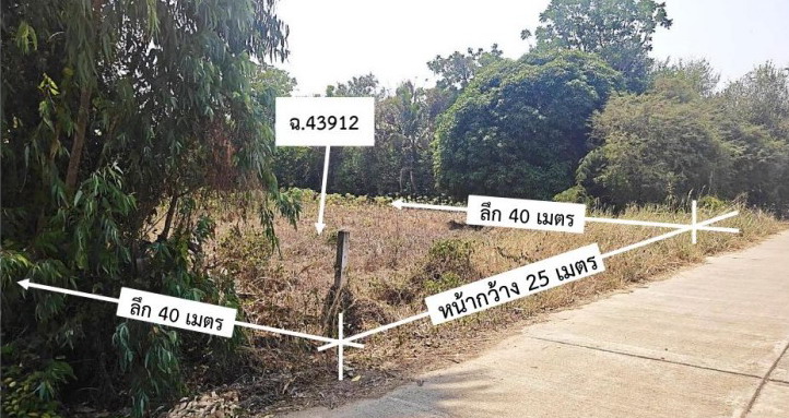 ขายทอดตลาด ที่ดินว่างเปล่า ต.แสนตอ อ.ขาณุวรลักษบุรี จ.กำแพงเพชร