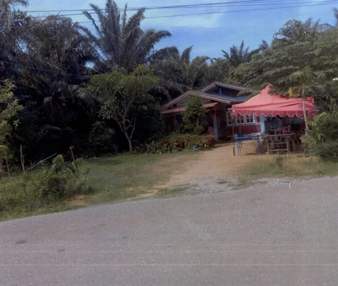 ขายทอดตลาด ที่ดินพร้อมสิ่งปลูกสร้าง ต.หาดสำราญ อ.กิ่งอำเภอหาดสำราญ จ.ตรัง