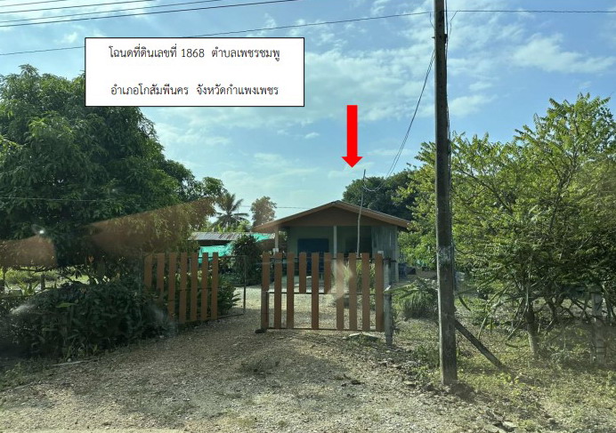 ขายทอดตลาด ที่ดินพร้อมสิ่งปลูกสร้าง ต.เพชรชมภู อ.โกสัมพีนคร จ.กำแพงเพชร