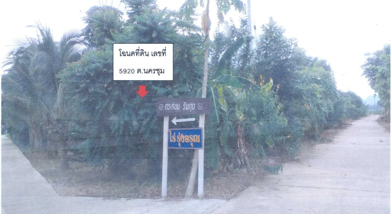 ขายทอดตลาด ที่ดินว่างเปล่า ต.นครชุม อ.เมืองกำแพงเพชร จ.กำแพงเพชร