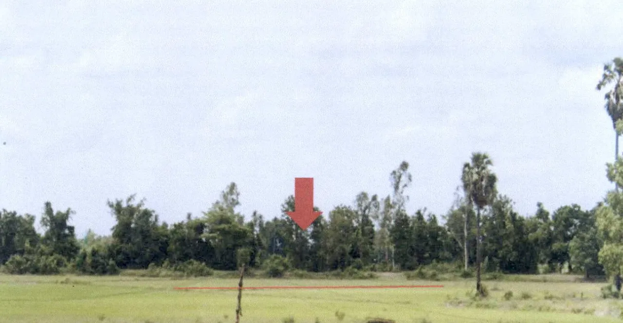 ขายทอดตลาด ที่ดินว่างเปล่า ต.ท่าไม้ อ.พรานกระต่าย จ.กำแพงเพชร