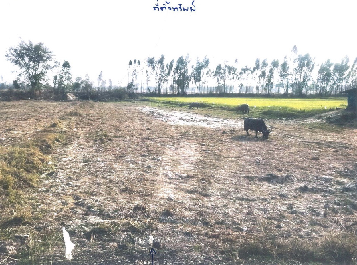 ขายทอดตลาด ที่ดินว่างเปล่า ต.หนองหัววัว อ.พรานกระต่าย จ.กำแพงเพชร