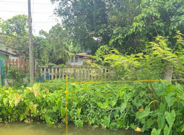 ขายทอดตลาด ที่ดินพร้อมสิ่งปลูกสร้าง ต.ศรีเมืองชุม อ.แม่สาย จ.เชียงราย