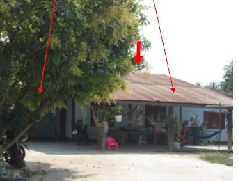 ขายทอดตลาด ที่ดินพร้อมสิ่งปลูกสร้าง ต.โคกสะอาด อ.ลำปลายมาศ จ.บุรีรัมย์