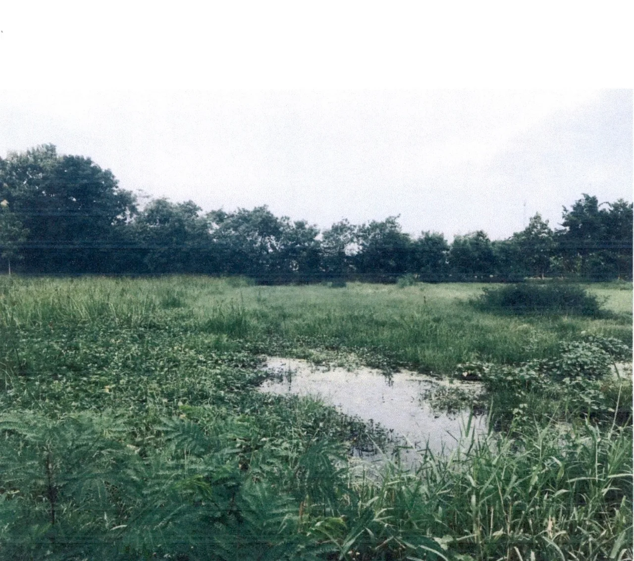 ขายทอดตลาด ที่ดินว่างเปล่า ต.หนองกุงใหญ่ อ.กระนวน จ.ขอนแก่น