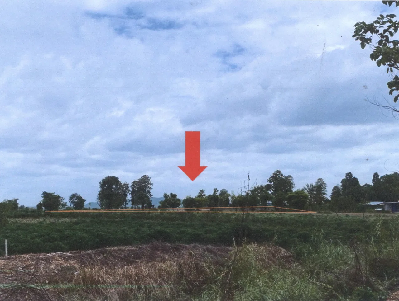 ขายทอดตลาด ที่ดินว่างเปล่า ต.ท่าไม้ อ.พรานกระต่าย จ.กำแพงเพชร