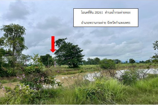 ขายทอดตลาด ที่ดินว่างเปล่า ต.ถ้ำกระต่ายทอง อ.พรานกระต่าย จ.กำแพงเพชร