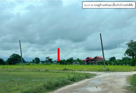 ขายทอดตลาด ที่ดินว่างเปล่า ต.หนองหัววัว อ.พรานกระต่าย จ.กำแพงเพชร