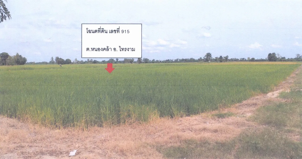 ขายทอดตลาด ที่ดินว่างเปล่า ต.หนองคล้า อ.ไทรงาม จ.กำแพงเพชร