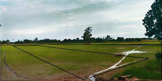 ขายทอดตลาด ที่ดินว่างเปล่า ต.นครชุม อ.เมืองกำแพงเพชร จ.กำแพงเพชร