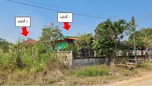 ขายทอดตลาด ที่ดินพร้อมสิ่งปลูกสร้าง ต.วังหามแห อ.ขาณุวรลักษบุรี จ.กำแพงเพชร
