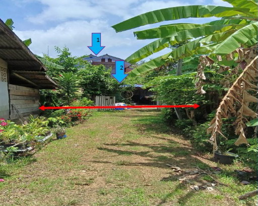 ขายทอดตลาด ที่ดินพร้อมสิ่งปลูกสร้าง ต.บ้านบัว อ.เมืองบุรีรัมย์ จ.บุรีรัมย์