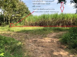 รูปทรัพย์ 1