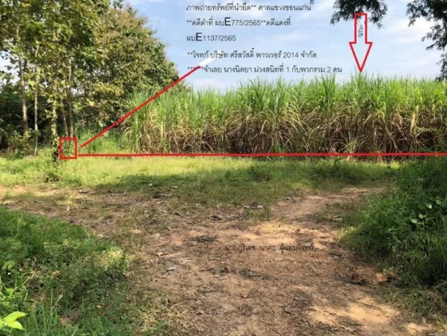 ขายทอดตลาด ที่ดินว่างเปล่า ต.บ้านเขือง อ.เชียงขวัญ จ.ร้อยเอ็ด