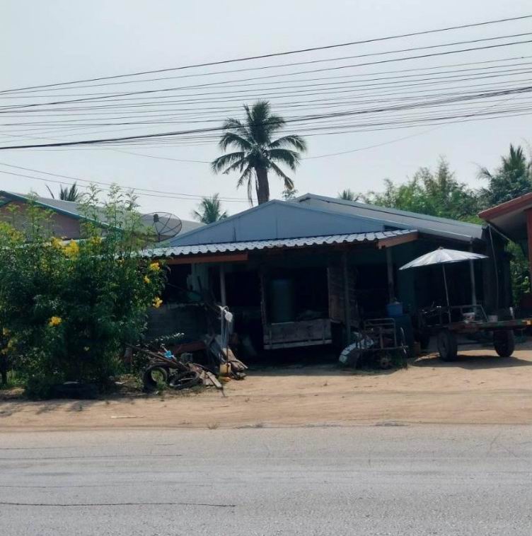 ขายทอดตลาด ที่ดินพร้อมสิ่งปลูกสร้าง ต.วังบัว อ.คลองขลุง จ.กำแพงเพชร