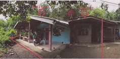 ขายทอดตลาด ที่ดินพร้อมสิ่งปลูกสร้าง ต.นาชุมเห็ด อ.ย่านตาขาว จ.ตรัง