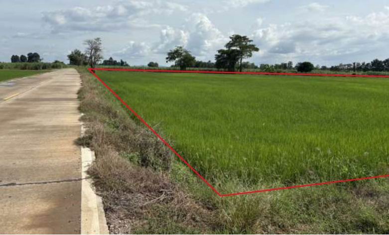 ขายทอดตลาด ที่ดินว่างเปล่า ต.วังแขม อ.คลองขลุง จ.กำแพงเพชร