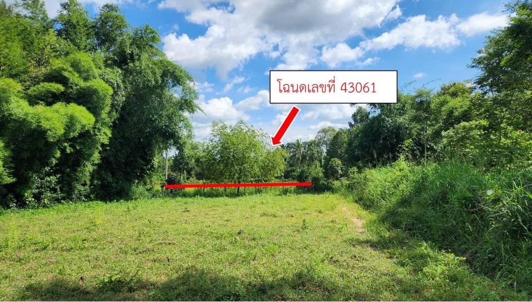 ขายทอดตลาด ที่ดินว่างเปล่า ต.บัวใหญ่ อ.น้ำพอง จ.ขอนแก่น