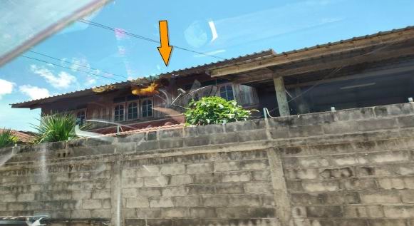 ขายทอดตลาด ที่ดินพร้อมสิ่งปลูกสร้าง ต.โคกกลาง อ.ลำปลายมาศ จ.บุรีรัมย์