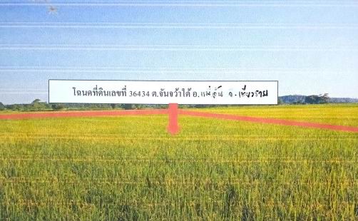 ขายทอดตลาด ที่ดินว่างเปล่า ต.จันจว้าใต้ อ.แม่จัน จ.เชียงราย
