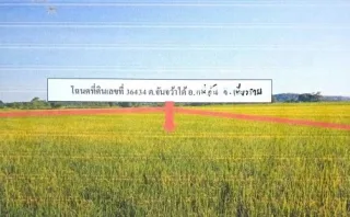 รูปทรัพย์ 1