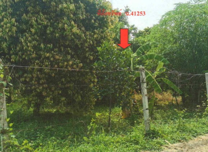 ขายทอดตลาด ที่ดินว่างเปล่า ต.ลานดอกไม้ อ.เมืองกำแพงเพชร จ.กำแพงเพชร