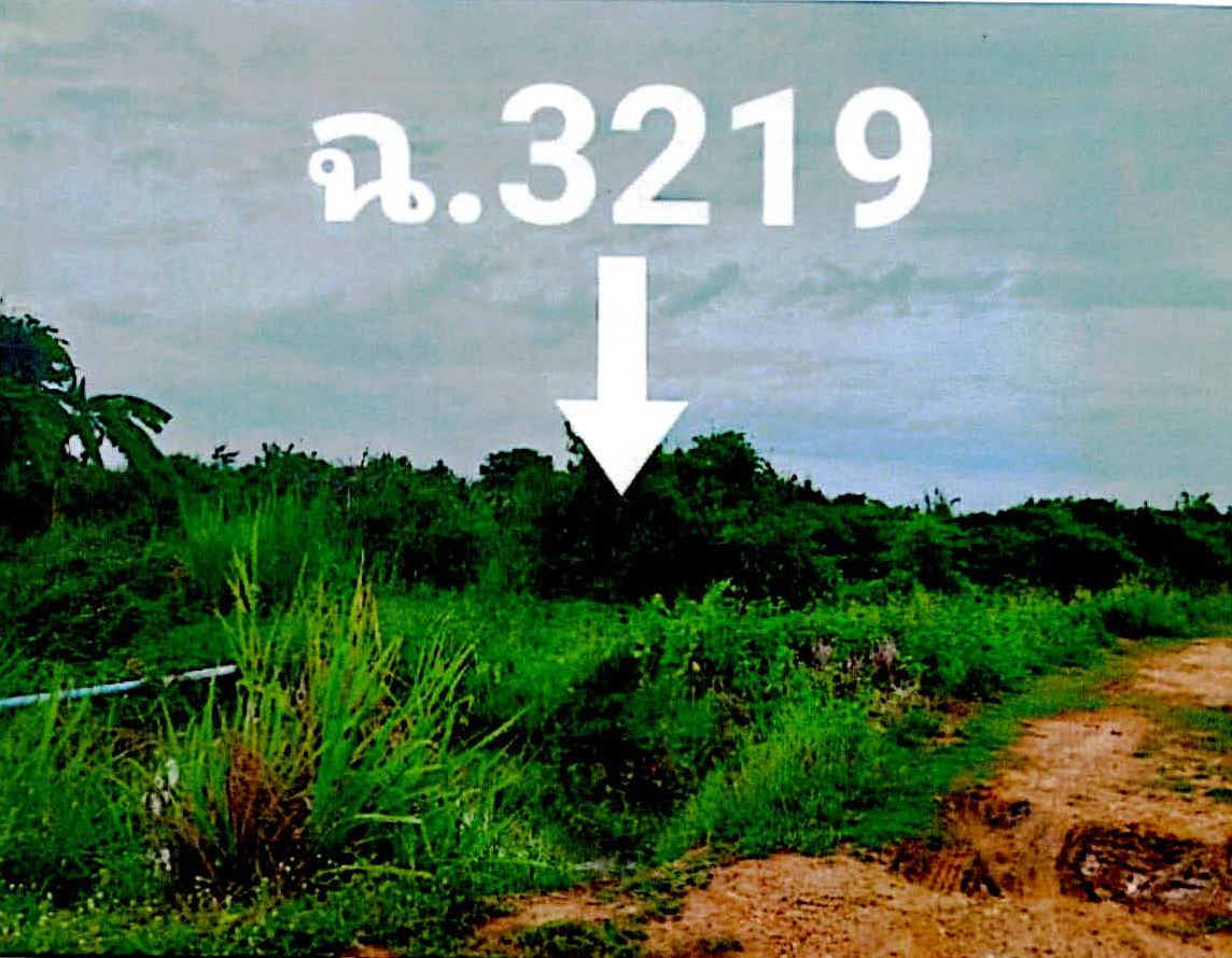 ขายทอดตลาด ที่ดินว่างเปล่า ต.หนองทอง อ.ไทรงาม จ.กำแพงเพชร
