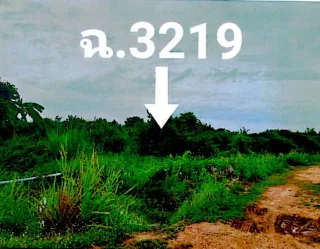 รูปทรัพย์ 1