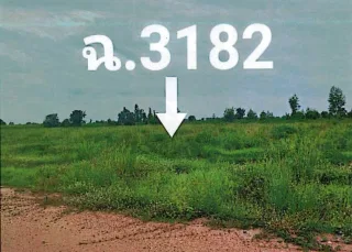 รูปทรัพย์ 2