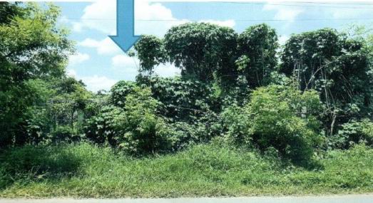 ขายทอดตลาด ที่ดินว่างเปล่า จ.บุรีรัมย์