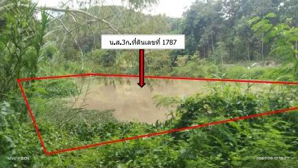 ขายทอดตลาด ที่ดินว่างเปล่า ต.แม่เจดีย์ อ.เวียงป่าเป้า จ.เชียงราย