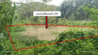 รูปทรัพย์ 1