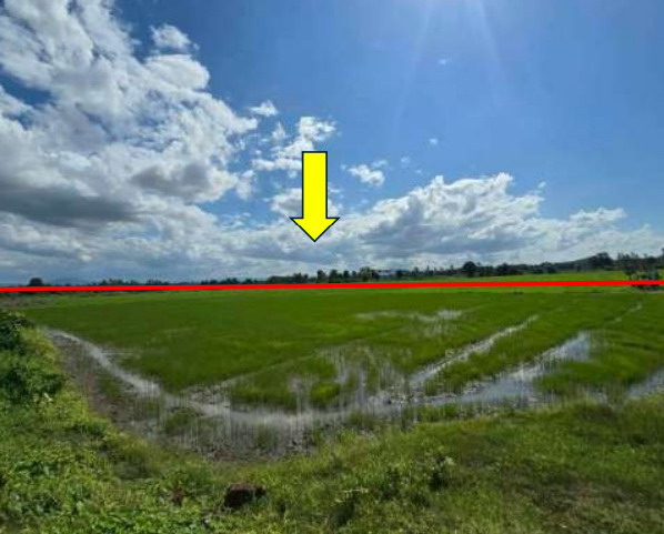 ขายทอดตลาด ที่ดินว่างเปล่า ต.ท่าไม้ อ.พรานกระต่าย จ.กำแพงเพชร