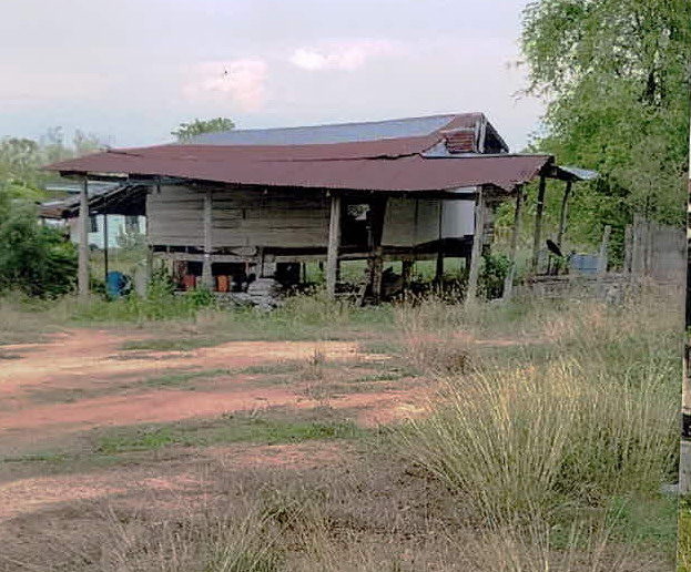 ขายทอดตลาด ที่ดินพร้อมสิ่งปลูกสร้าง ต.แม่ลาด อ.คลองขลุง จ.กำแพงเพชร